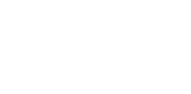 Expression Vin